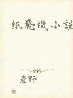 纸飞机小说