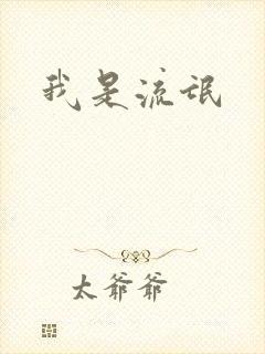 我是流氓封面