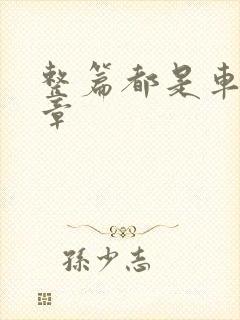 整篇都是车的文章