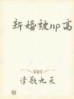 新婚被np高h