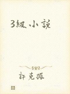 3级小说