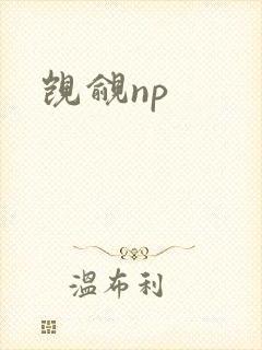 觊觎np