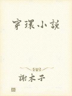 穿环小说