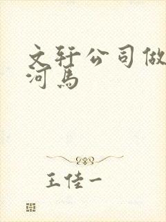 文轩公司做扩张河马