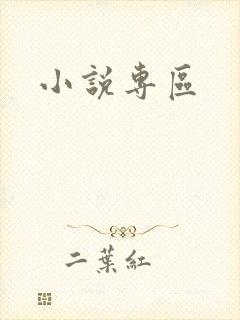 小说专区