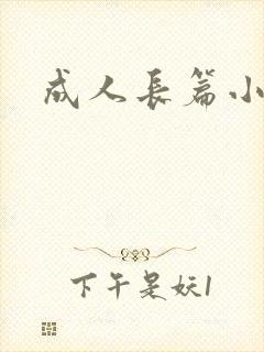 成人长篇小说封面