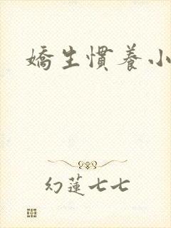 娇生惯养小说