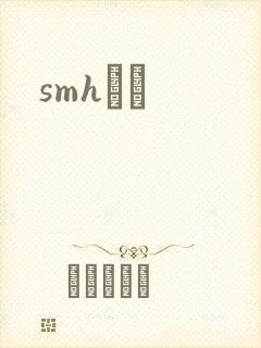 smhС˵封面