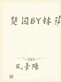 楚囚BY林萨