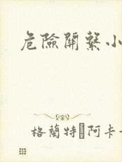 危险关系小说