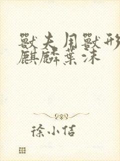 书籍封面