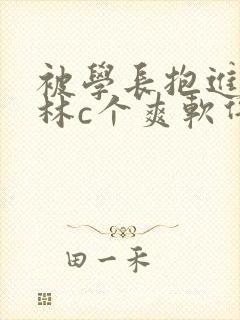 被学长抱进小树林c个爽软件