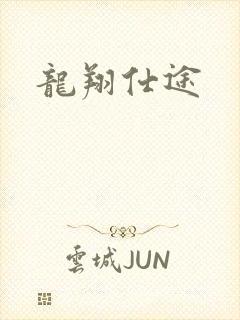 龙翔仕途封面