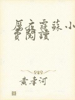 厉夜霆苏小汐免费阅读