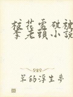 校花处破被灌满李老头小说封面