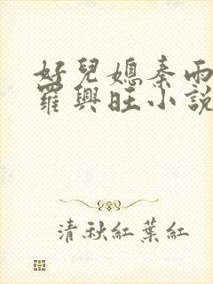 好儿媳秦雨罗明罗兴旺小说