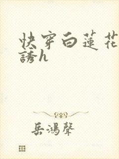 快穿白莲花的引诱h