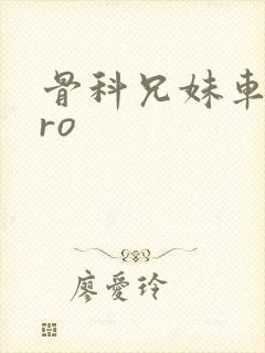 骨科兄妹车多pro
