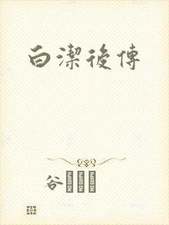 白洁后传封面