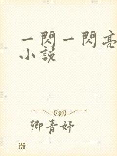 一闪一闪亮星星小说