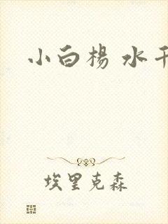 小白杨 水千丞封面