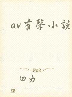 av有声小说