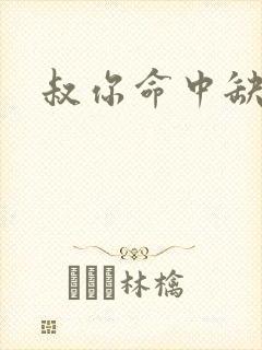 叔你命中缺我