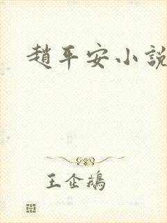 赵平安小说主角