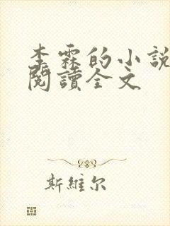 李霖的小说免费阅读全文
