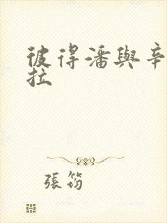 彼得潘与辛德瑞拉封面