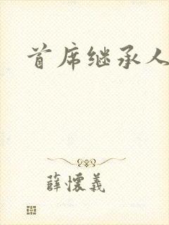 首席继承人封面