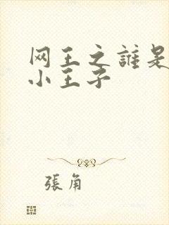 网王之谁是我的小王子