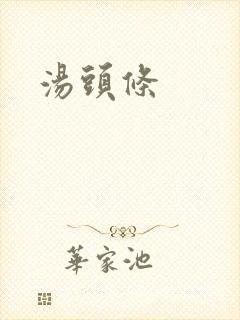 汤头条