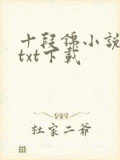 十段锦小说全本txt下载