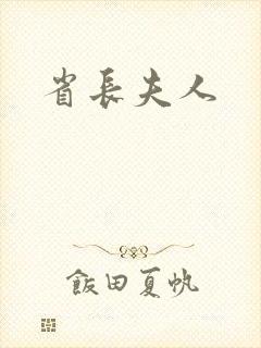 省长夫人