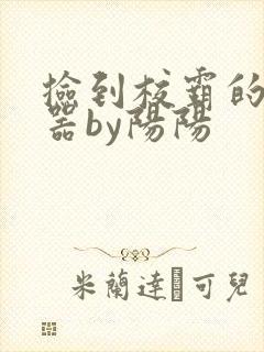 捡到校霸的遥控器by阳阳