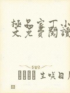 极品家丁小说全文免费阅读