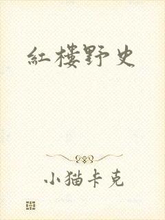 红楼野史