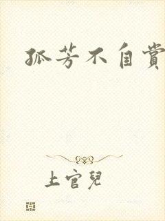 孤芳不自赏小说