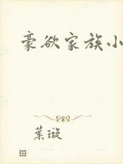 豪欲家族小说