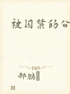 被囚禁的公主