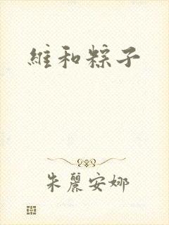 维和粽子