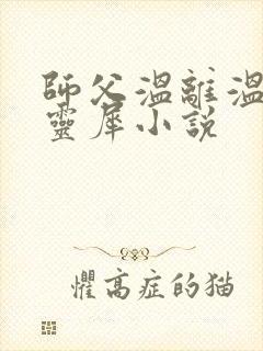 师父温离温崖洛灵犀小说封面