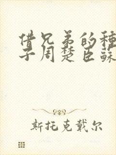 借兄弟的种生孩子周楚臣苏糖