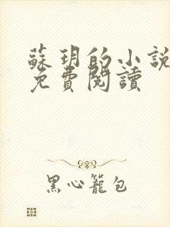 苏玥的小说全文免费阅读