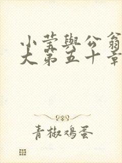 小莹与公翁熄粗大第五十章封面
