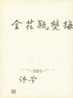 金花瓶双梅花3封面
