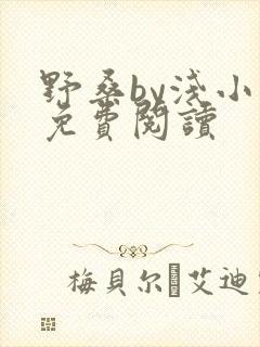 野桑by浅小说免费阅读