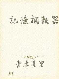 记忆调教器封面