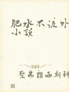 肥水不流外人田小说